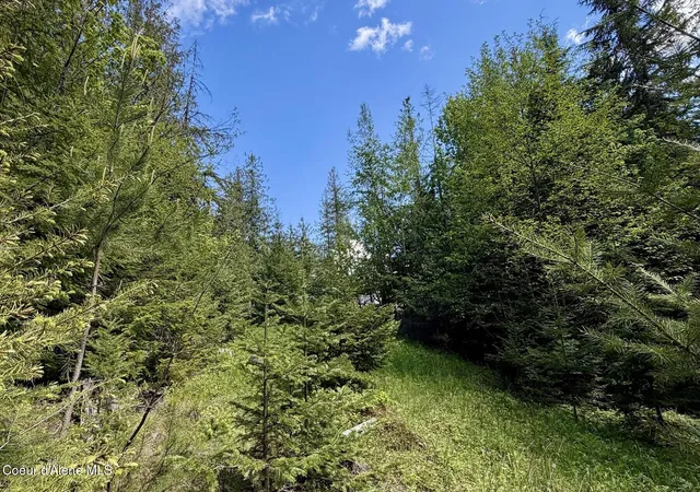 1st image of Nna Lot 4 Silver Reef Rd, Sagle, ID 83860 | MLS# 26-5107