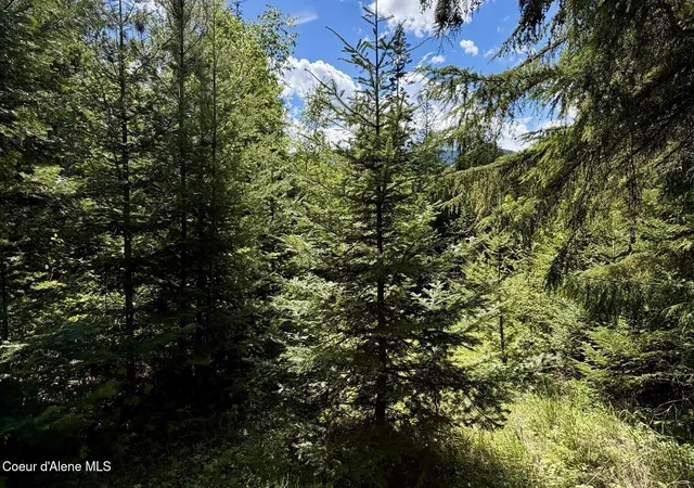 37th image of Nna Lot 4 Silver Reef Rd, Sagle, ID 83860 | MLS# 26-5107