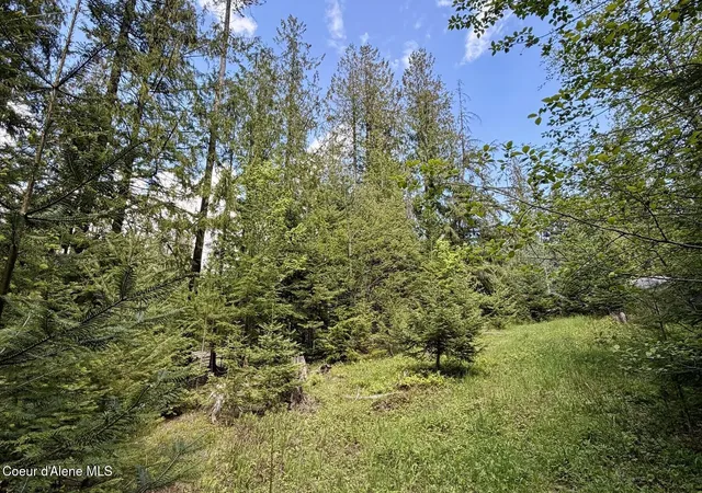 3rd image of Nna Lot 4 Silver Reef Rd, Sagle, ID 83860 | MLS# 26-5107