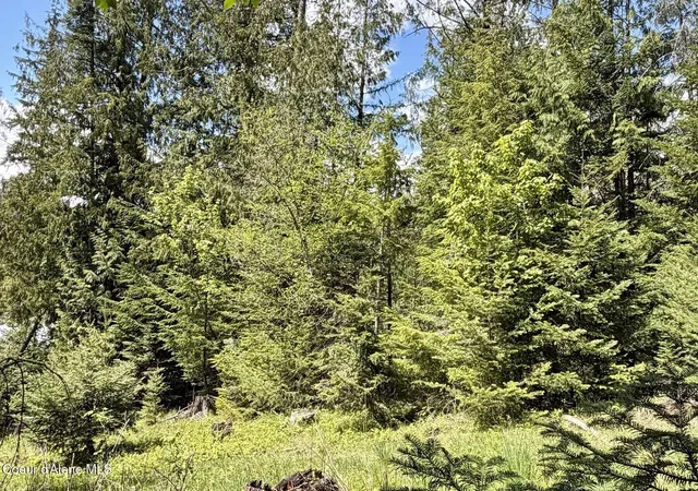 4th image of Nna Lot 4 Silver Reef Rd, Sagle, ID 83860 | MLS# 26-5107