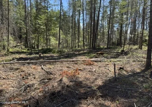 5th image of Nka Abundant Life (Lot 2) Ct, Athol, ID 83801 | MLS# 26-5220