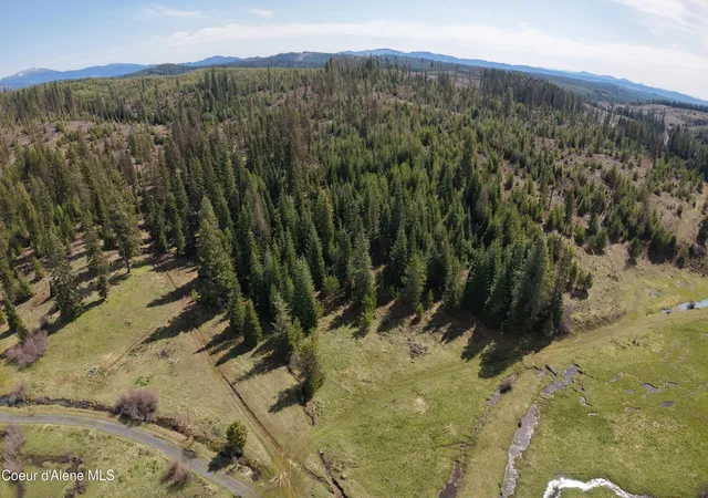 Photo 3 of Land for sale at Nka Park Rd 100 Acres, Elk River, ID 83827 | MLS# 26-5205 | Listing updated on 2026-09-01