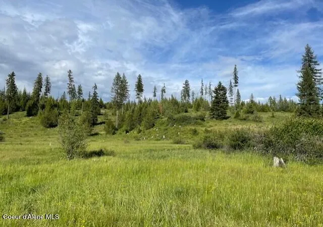 Homes for sale in Elk River, ID | Nka Park Road 100 Acres, Elk River, ID 83827 | MLS# 26-5205