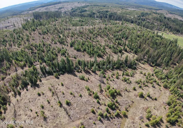 Photo 4 of Land for sale at Nka Park Rd 100 Acres, Elk River, ID 83827 | MLS# 26-5205 | Listing updated on 2026-09-01