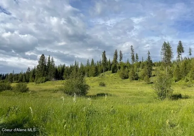 5th image of Nka Park Road 100 Acres, Elk River, ID 83827 | MLS# 26-5205