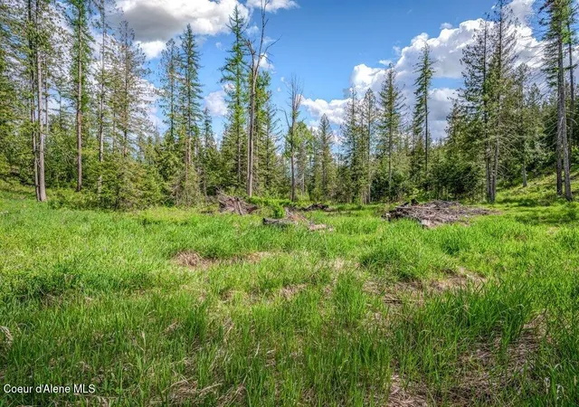 Homes for sale in Sandpoint, ID | Nna Oleander Dr, Lot 1, Sandpoint, ID 83864 | MLS# 26-5223