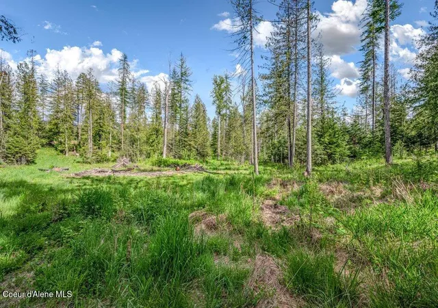 Homes for sale in Sandpoint, ID | Nna Oleander Dr, Lot 1, Sandpoint, ID 83864 | MLS# 26-5223