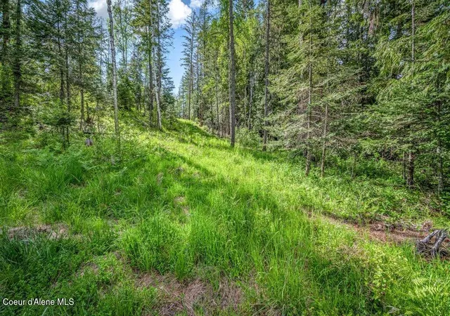 Homes for sale in Sandpoint, ID | Nna Oleander Dr, Lot 1, Sandpoint, ID 83864 | MLS# 26-5223