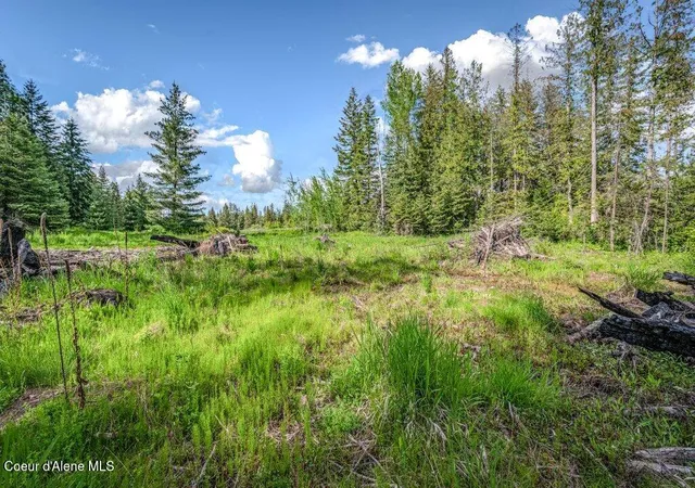 Homes for sale in Sandpoint, ID | Nna Oleander Dr, Lot 1, Sandpoint, ID 83864 | MLS# 26-5223