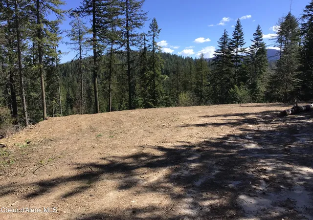 Homes for sale in Harrison, ID | Hwy 97, Harrison, ID 83833 | MLS# 26-5312