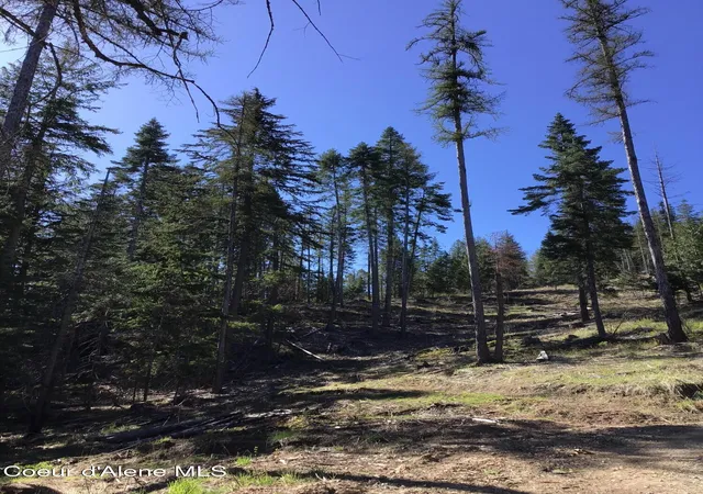 4th image of Hwy 97, Harrison, ID 83833 | MLS# 26-5312