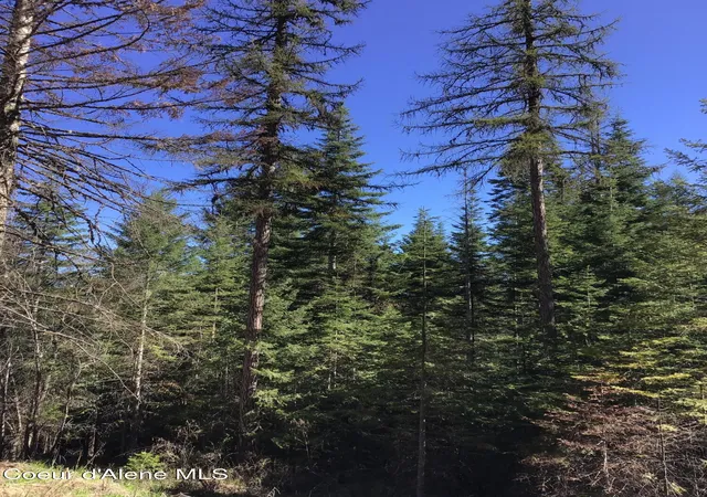 5th image of Hwy 97, Harrison, ID 83833 | MLS# 26-5312