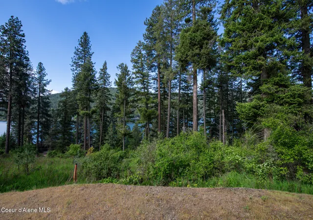 4th image of 156 Beltane Pl, Sagle, ID 83860 | MLS# 26-5299