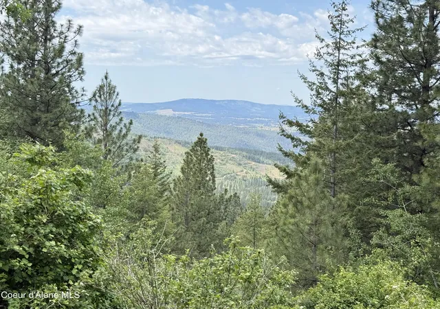5th image of Nka S Mystery Trl, Post Falls, ID 83854 | MLS# 26-5313