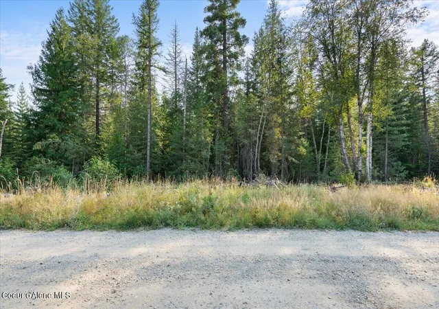 4th image of Nna Beaver Pond Trl, Priest River, ID 83856 | MLS# 26-5314