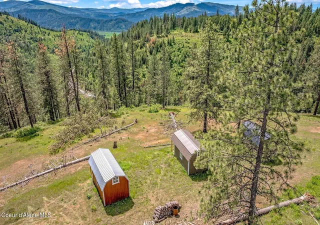Homes for sale in St. Maries, ID | 17 Acres Hwy 3, St. Maries, ID 83861 | MLS# 26-5385
