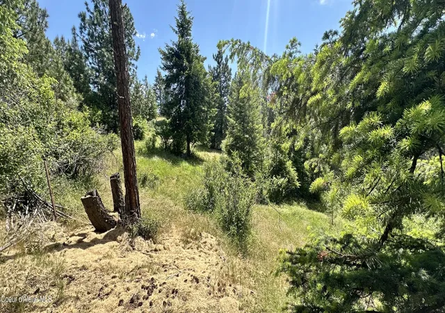 2nd image of Mullan Trail Road, Coeur D Alene, ID 83814 | MLS# 26-5460