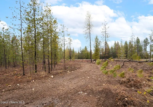 5th image of L12B1 N Mountain View Rd, Rathdrum, ID 83858 | MLS# 26-5445