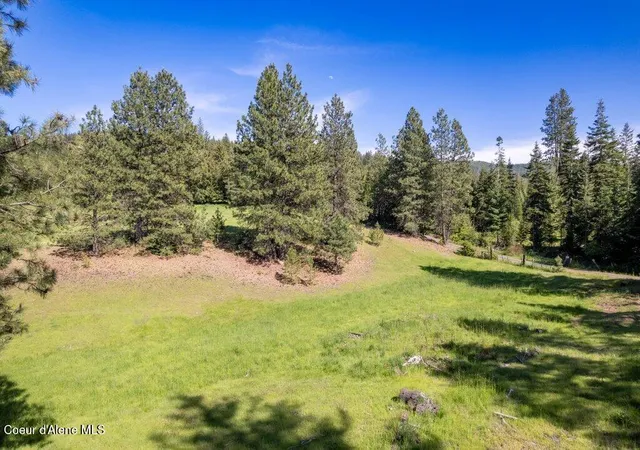 Homes for sale in St. Maries, ID | Nka Waddell Rd, St. Maries, ID 83861 | MLS# 26-5415
