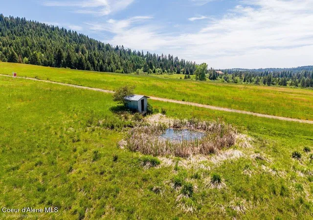 Homes for sale in Plummer, ID | Tract C Thimbleberry Ln, Plummer, ID 83851 | MLS# 26-5577