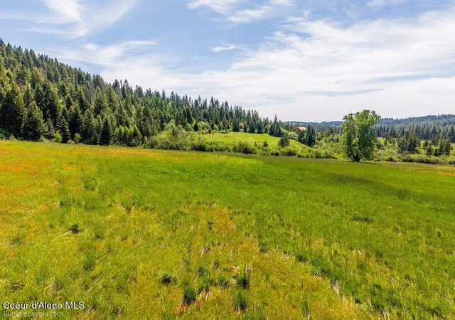 Homes for sale in Plummer, ID | Tract C Thimbleberry Ln, Plummer, ID 83851 | MLS# 26-5577