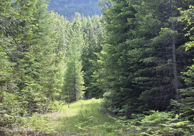 2nd image of 5784 River Rd, Clark Fork, ID 83811 | MLS# 26-5444