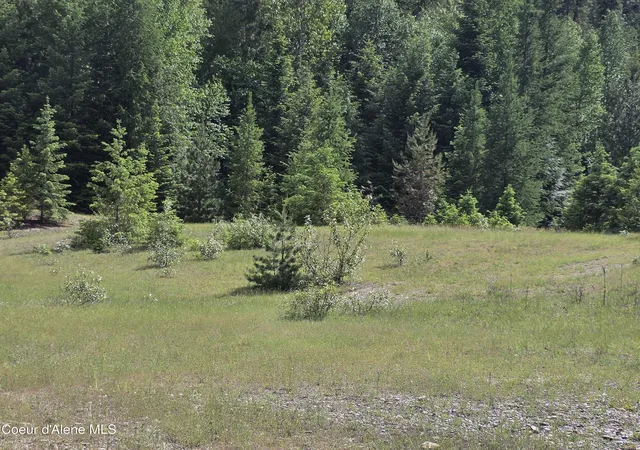 38th image of 5784 River Rd, Clark Fork, ID 83811 | MLS# 26-5444