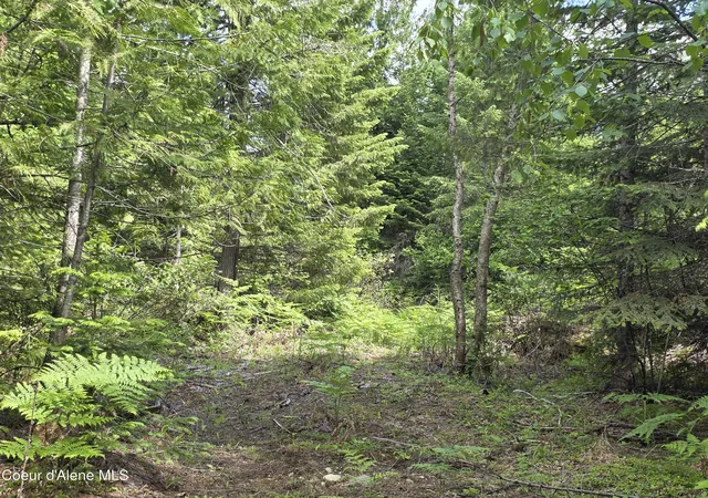 3rd image of 5784 River Rd, Clark Fork, ID 83811 | MLS# 26-5444
