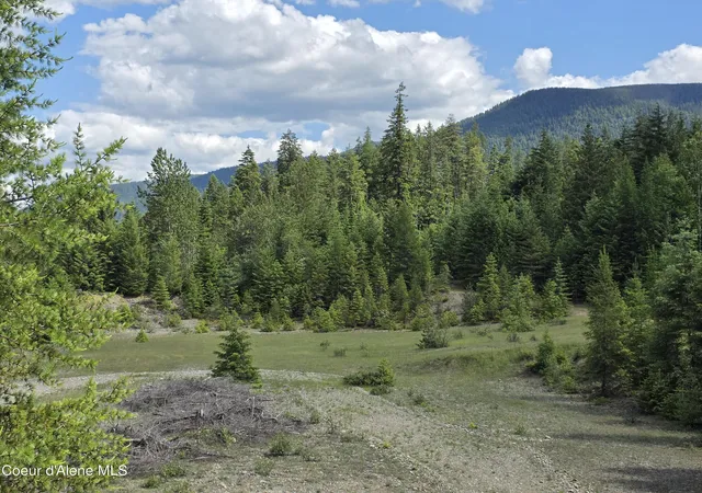 4th image of 5784 River Rd, Clark Fork, ID 83811 | MLS# 26-5444