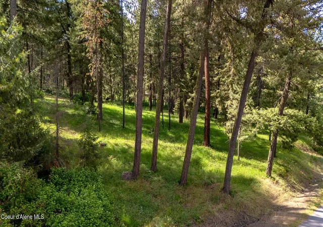 2nd image of Nna Stoneridge Lot 1, Blanchard, ID 83804 | MLS# 26-5499