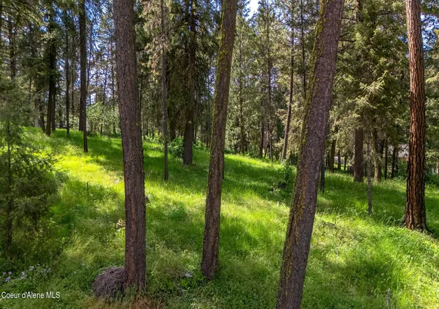 4th image of Nna Stoneridge Lot 1, Blanchard, ID 83804 | MLS# 26-5499