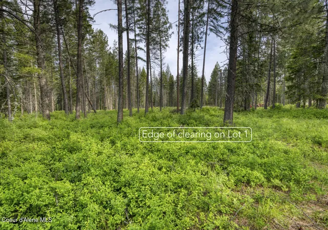 Homes for sale in Bonners Ferry, ID | Nna Holmes Road Lot 1, Bonners Ferry, ID 83805 | MLS# 26-5729