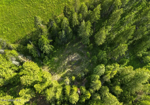 4th image of Nna Holmes Road Lot 2, Bonners Ferry, ID 83805 | MLS# 26-5740