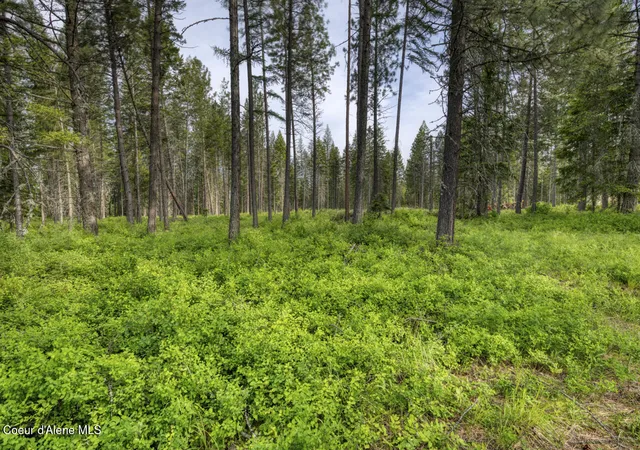 5th image of Nna Holmes Road Lot 2, Bonners Ferry, ID 83805 | MLS# 26-5740
