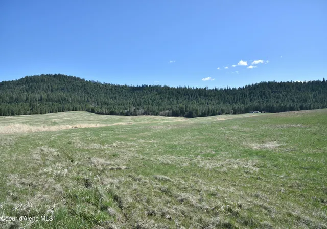Homes for sale in Plummer, ID | Lot 1 Mundt Rd, Plummer, ID 83851 | MLS# 26-5493