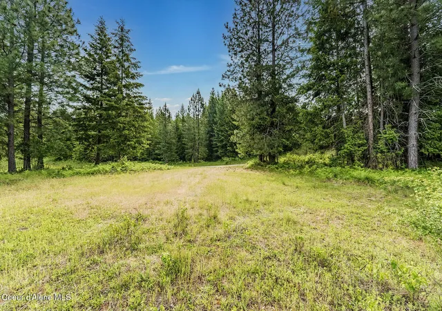 Homes for sale in Harrison, ID | Lt 2 Blk 1 Napili Rd, Harrison, ID 83833 | MLS# 26-5530