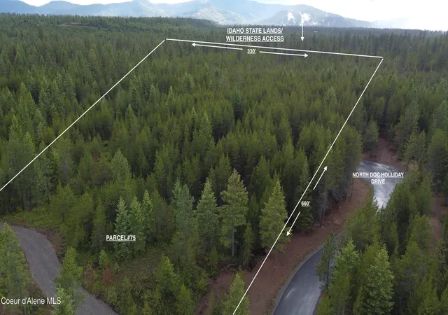 Homes for sale in Spirit Lake, ID | Parcel 75 North Doc Holliday, Spirit Lake, ID 83869 | MLS# 26-5919