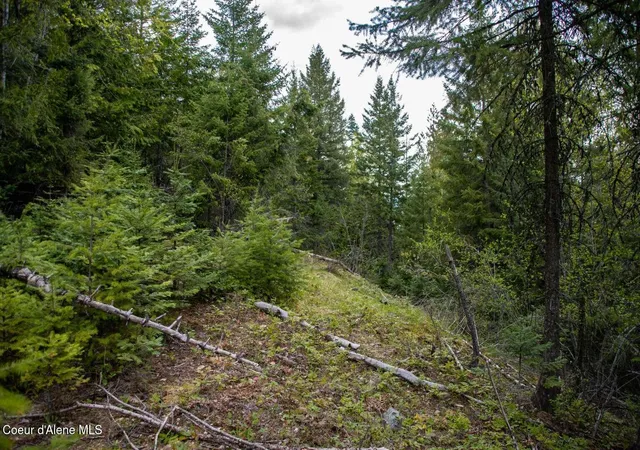 6th image of 89 Lynx Run Rd, Sagle, ID 83860 | MLS# 26-5544