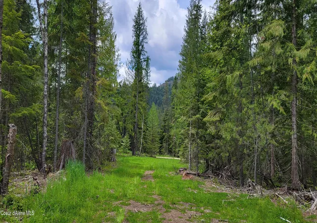 17th image of Nna Pup Paw Trl, Priest River, ID 83856 | MLS# 26-5549