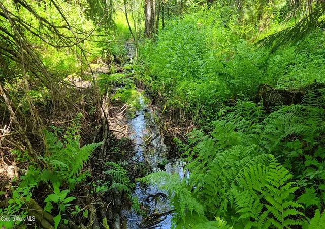 3rd image of Nna Pup Paw Trl, Priest River, ID 83856 | MLS# 26-5549