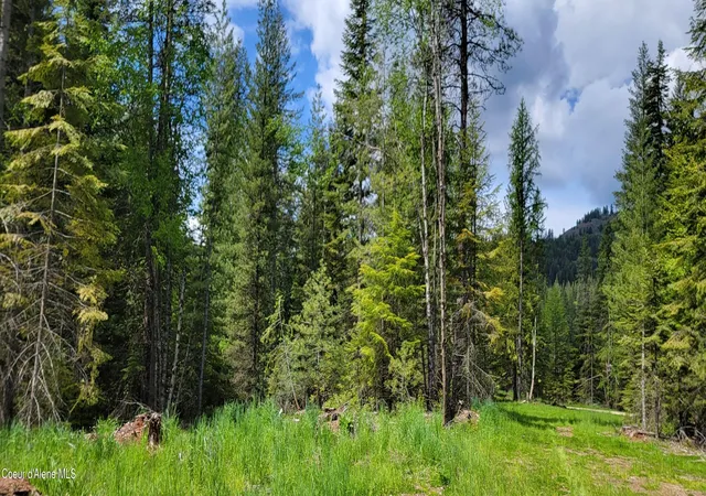 4th image of Nna Pup Paw Trl, Priest River, ID 83856 | MLS# 26-5549