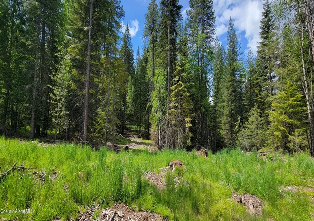 5th image of Nna Pup Paw Trl, Priest River, ID 83856 | MLS# 26-5549