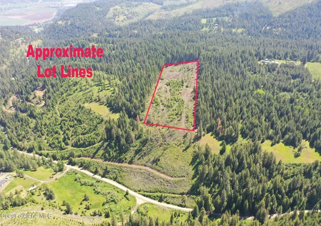 Homes for sale in St. Maries, ID | Nka Trinity Lane, St. Maries, ID 83861 | MLS# 26-5633