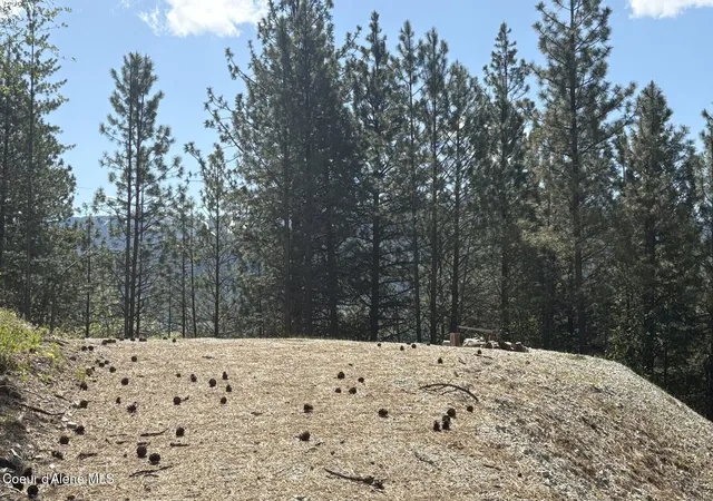 4th image of 1985 Southfork Ridge Rd, Smelterville, ID 83868 | MLS# 26-5599