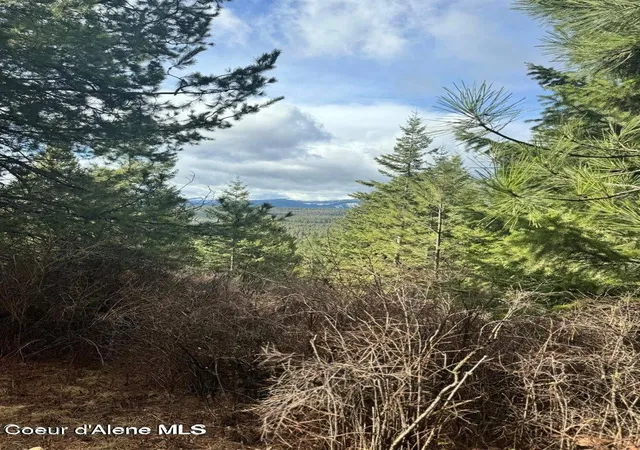 22nd image of Nna Quiet Hts, Athol, ID 83801 | MLS# 26-5601