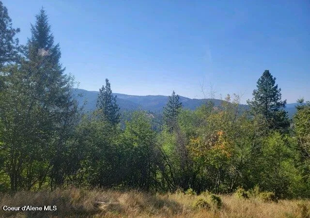 Homes for sale in Smelterville, ID | Nka Smelterville, Smelterville, ID 83868 | MLS# 26-5696