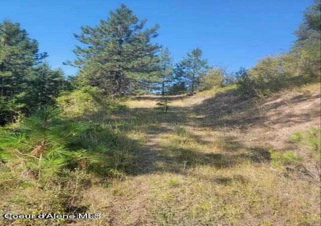 Homes for sale in Smelterville, ID | Nka Smelterville, Smelterville, ID 83868 | MLS# 26-5696