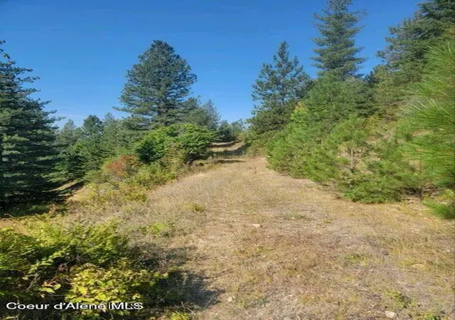 5th image of Nka Smelterville, Smelterville, ID 83868 | MLS# 26-5696