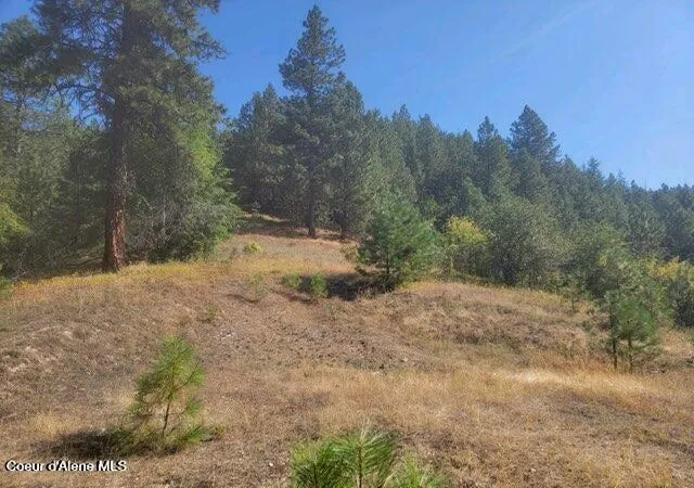 Homes for sale in Smelterville, ID | Nka Smelterville, Smelterville, ID 83868 | MLS# 26-5696