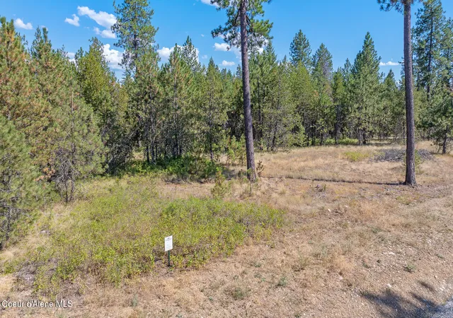 2nd image of Lot 4 Dawson Lp, Athol, ID 83801 | MLS# 26-5669
